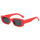[10318] PL-H005 Kacamata Hitam Wanita/Pria Sunglasses Korean INS Fashion KM04 (PL-H005-Red)