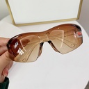 [10675] PL-WW011 Kacamata Hitam Kacamata Motor Pelindung Angin Korea Vintage Retro Fashion Import Wanita Pria Optik Sunglass (PL-WW011-Brown)